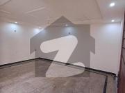 Neat Clean Fresh House Eden Orchard