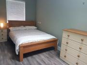 Neat double bedroom in Glasnevin