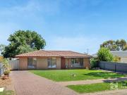 NEAT, SWEET & COMPLETE THE PERFECT STARTER!