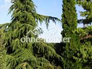 Neckarauer Waldweg 36, 68199 Mannheim Niederfeld