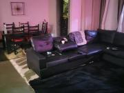 Need a temporary room mate