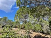 Néfiach 66170 Achat / Vente terrain