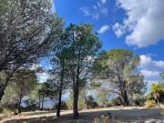 Néfiach Vente Terrain 66