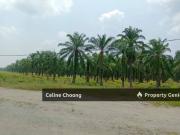 Negeri sembilan, Bahau, Solar Land