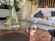 NEGOCIABLE! Departamento amplio, remodelado y con...