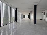 Negocio en venta en Algemesí, Valencia