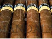 Negocio Marbella Marbella 99994564