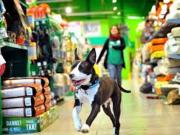 NEGOZIO DI TENDENZA DOVE ANCHE I VIPS COMPRANO X I LORO...