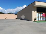 Negozio in affitto a Alatri