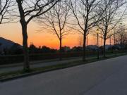 Negozio in affitto a Altopascio