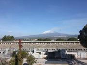 Negozio in affitto a Belpasso