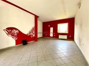 Negozio in affitto a Capannori