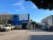 Negozio in affitto a Grosseto