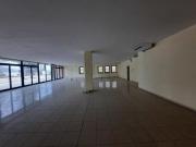 Negozio in affitto a Lucca