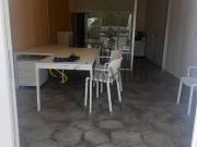 Negozio in affitto a Pisa Negozio in affitto a Pisa