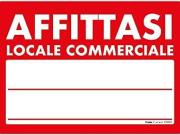 Negozio in affitto a Reggiolo