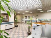 Locale commerciale in affitto a Roma