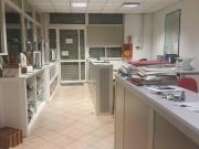 Negozio in affitto a Roma