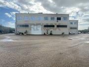 Negozio in affitto a Sestu