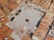 Negozio in affitto a Udine