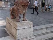 Negozio in affitto a Venezia