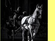 Negozio in affitto, Firenze piazza santa croce...