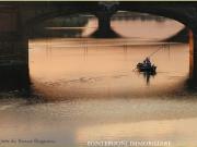 Negozio in affitto, Firenze piazza santa croce...