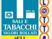 Negozio in Vendita a Alessandria