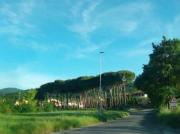 Negozio in vendita a Arezzo