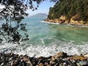Negozio in vendita a Bogliasco