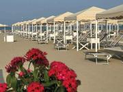 Negozio in vendita a Camaiore