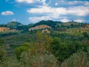 Negozio in vendita a Certaldo