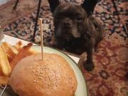 Negozio in vendita a Firenze