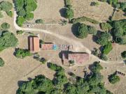 Azienda agricola in vendita a Luogosanto