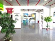 Negozio in vendita a Masi Torello