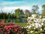 Negozio in vendita a Novara