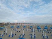 Negozio in vendita a Pietrasanta