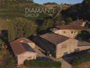 Negozio in vendita a San Casciano In Val Di Pesa