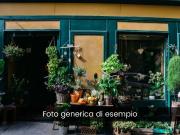 Negozio in vendita a Torino