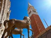 Negozio in vendita a Venezia