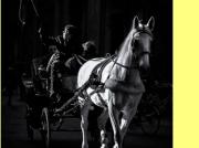 Negozio in vendita, Firenze piazza del duomo piazza...