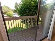 Nemoke Trails Juniper