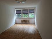 Nette Einzimmer Wohnung an der Salzach zu vermieten!