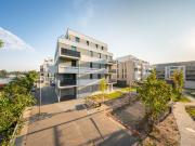 Nette Familie in der Waterkant ab sofort gesucht