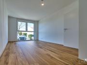 NEU! + BEZUGSFERTIG + HAUS MIT 5 ZIMMER / KELLER /... NEU! + BEZUGSFERTIG + HAUS MIT 5 ZIMMER / KELLER /...