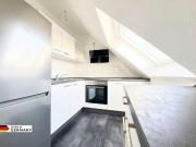 ✨Neu & modern Großzügige 1 Raum Wohnung mit EBK in...