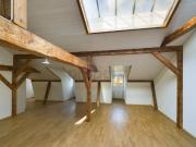 Neu renovierte 3 Zimmer Dachwohnung mit Kellerraum, Basel