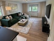 Neu renovierte 3 Zimmer Wohnung für Singles, Familien...