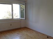 Neu renovierte helle, ruhige Wohnung