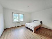 Neu renovierte Single Wohnung in Spittal mit neuer...